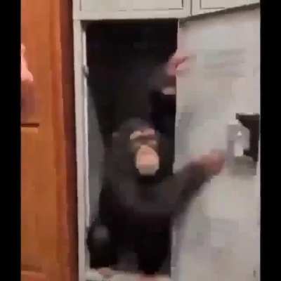 м о и к е у
