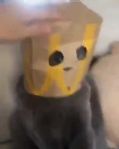 "Really dad you did this to me"?