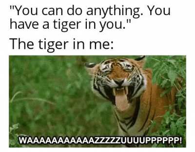It's still a tiger though