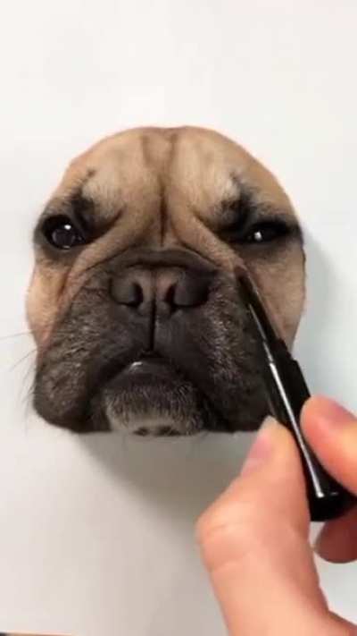 Real or Fake art? ??