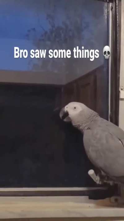 Bro saw some things?