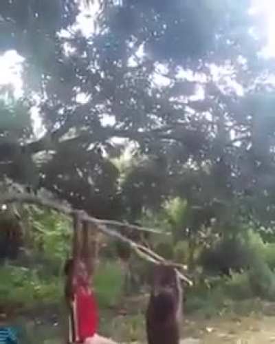 The small human catapult