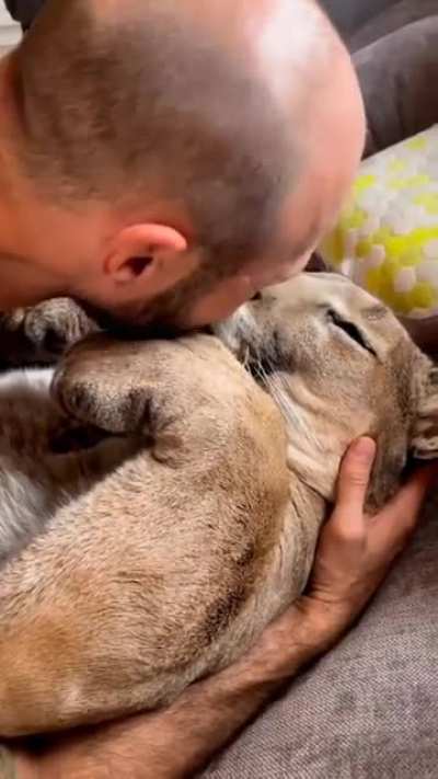 Lucky are those that get to touch and show love to danger cats. ?♥️