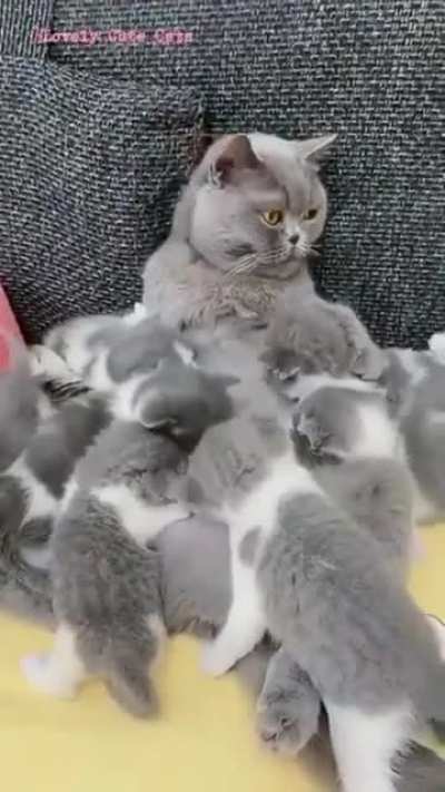 Tired or pissed off? ??