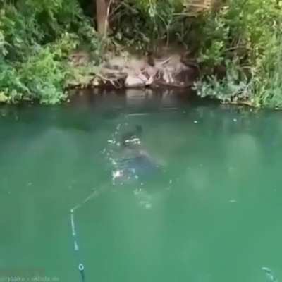 That moment you realize there are bigger fish in the sea