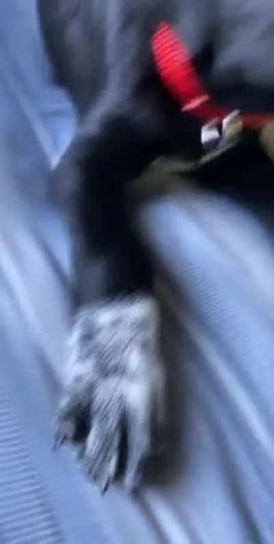 ?