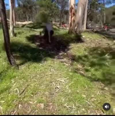 WCGW Going over a ramp too fast