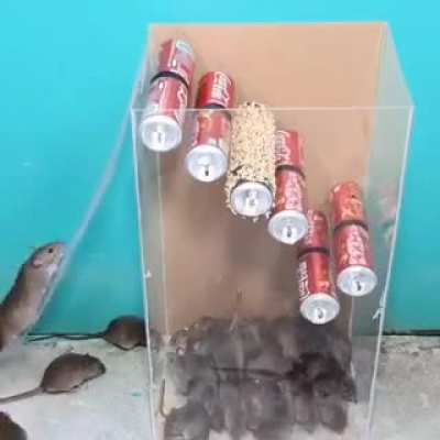 Homemade mousetrap