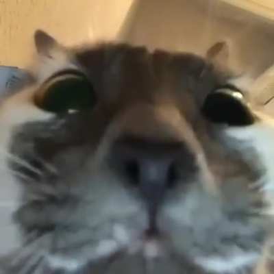 Who else needs cheering up?