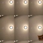 Cat concert is nom nom.