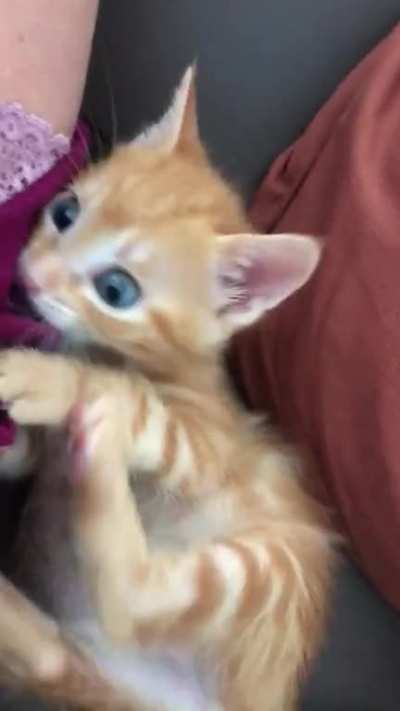 ?