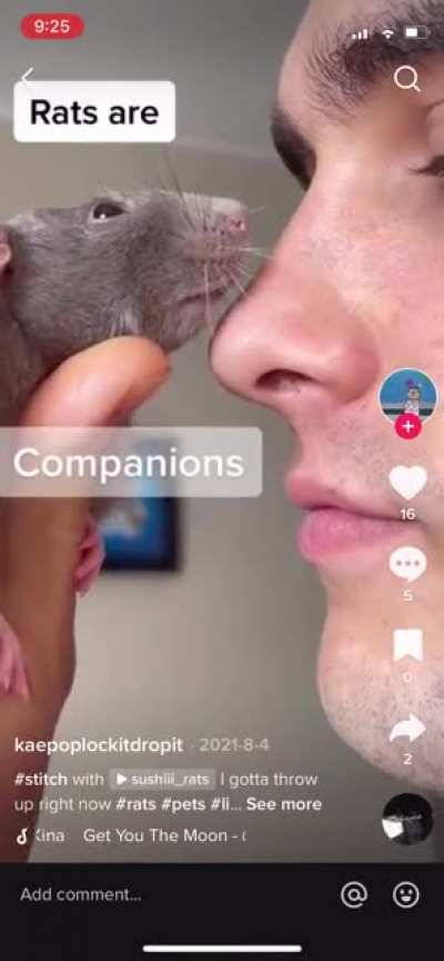 I found this on TikTok and I have no words ?? ( please end me now)