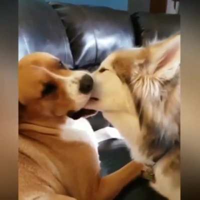"...what just happened to me?"