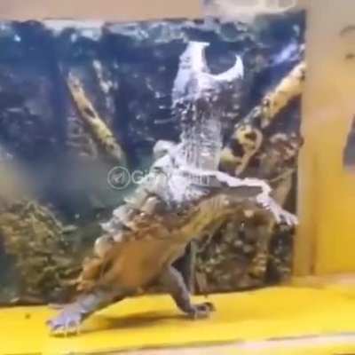 Maybe maybe maybe