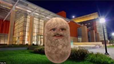 potato ?