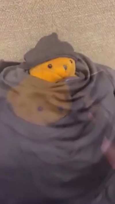 teddy fresh