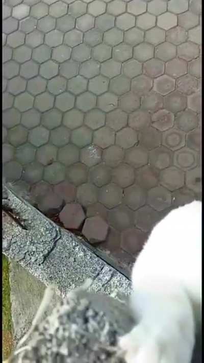 Maybe maybe maybe