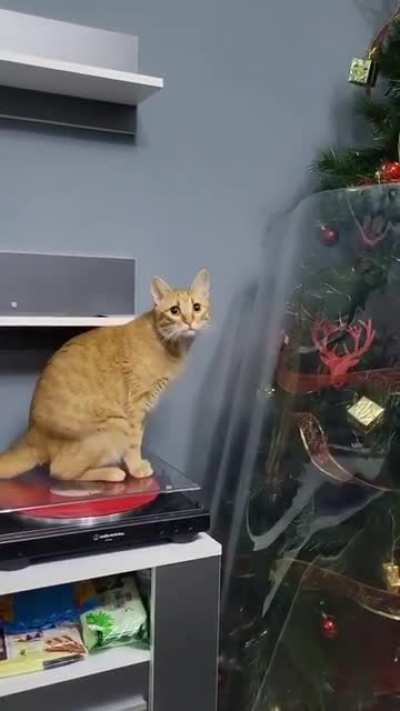 to ruin christmas