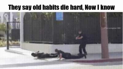 Police.exe has stopped working