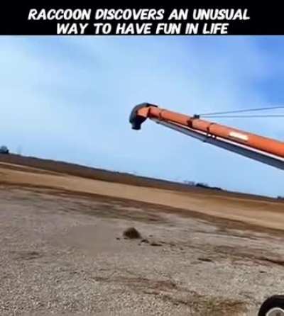 Living the moment