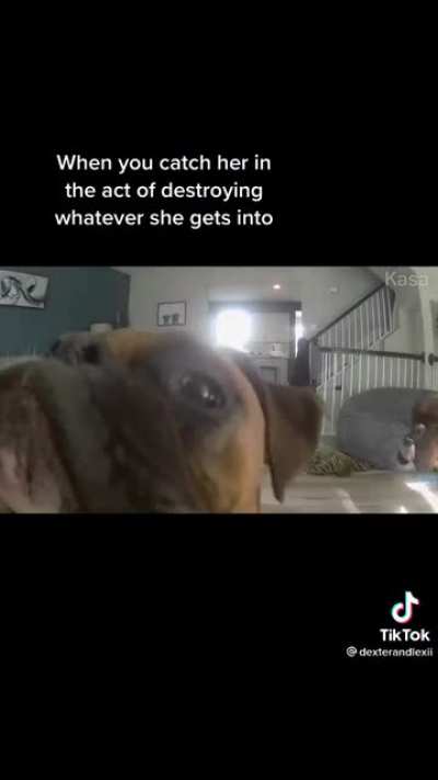 Caught on camera