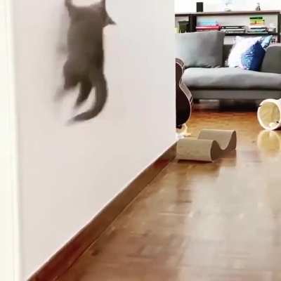 “I’m Ninja and I bounce off the walls."