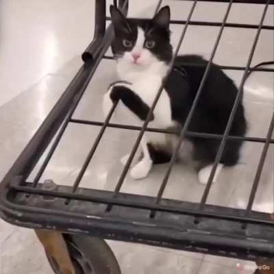"Oh shit!"