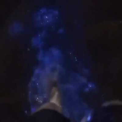 ? Walking in water through Bioluminescent plankton