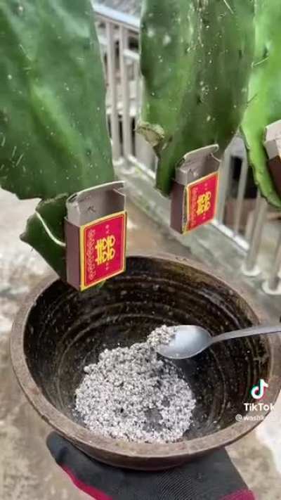 Interesting use of syringes