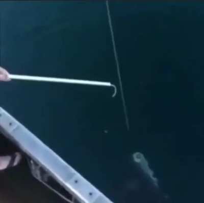 How to fish properly