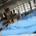 Monkeys stealing food from hospital patients
