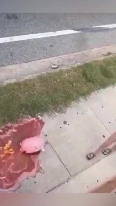 Omg?