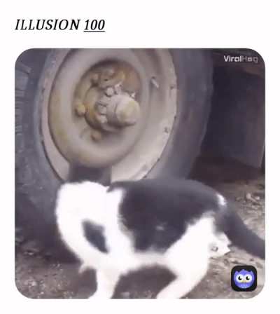 Big brain rat
