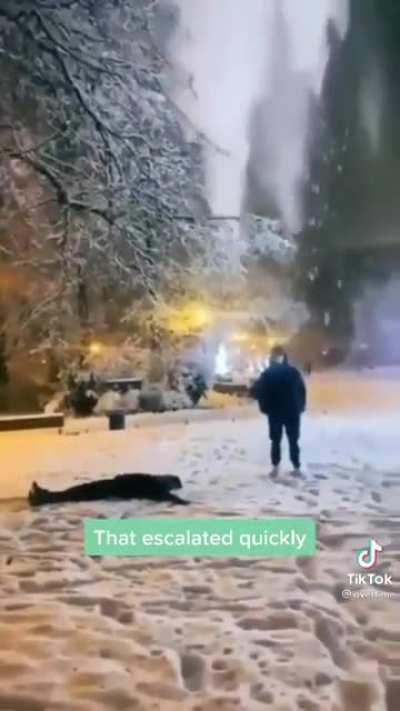Unexpected avalanche