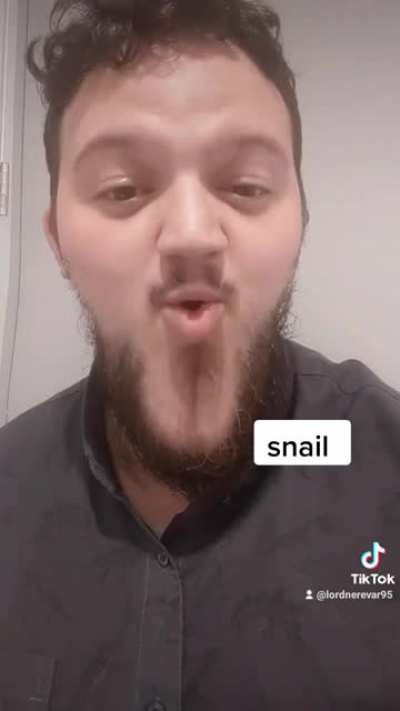 snail.