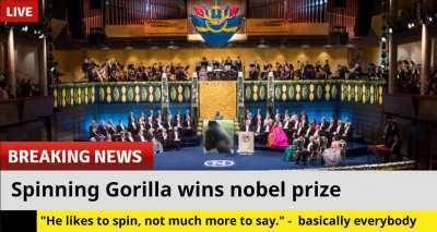This Gorilla deserves the Nobel prize of "monke funny, monke make me laugh"
