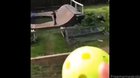That's an excellent batter