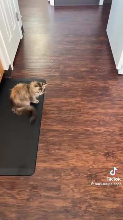 She's a persistent little bugger