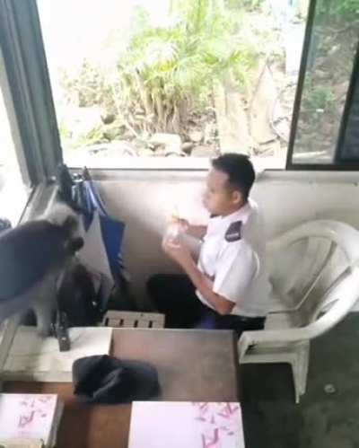 Security guard got robbed in broad daylight