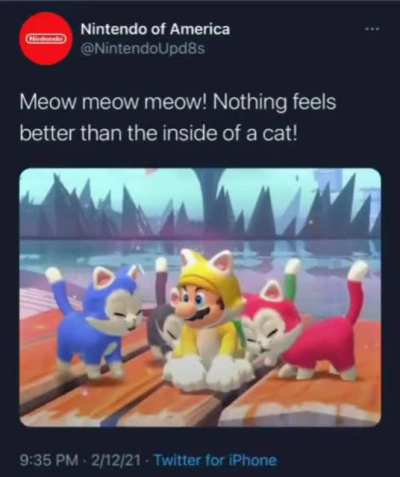 Nintendo mad sus
