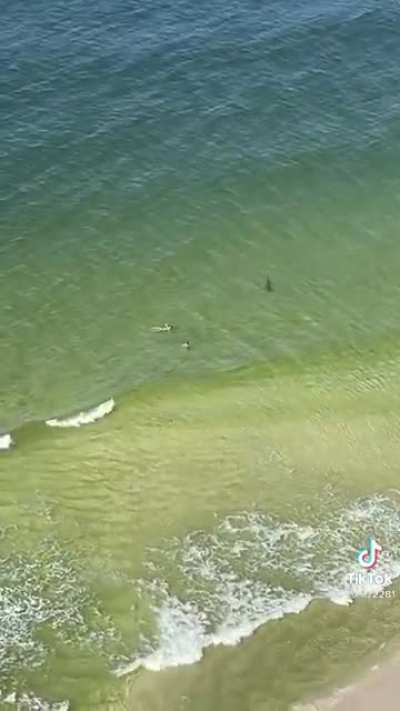 The shark: Good afternoon ma’am, we been trying to reach you about your cars extended warranty.