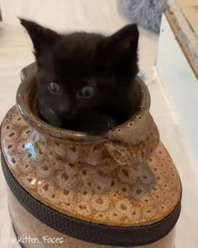 Ta Da