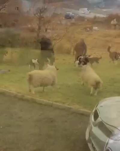 Those who watch this video will have a positive and energetic day?