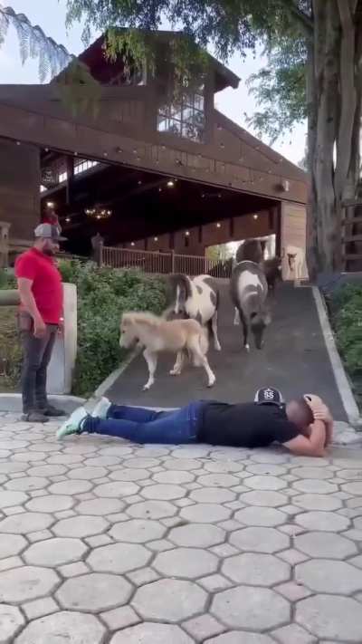 Maybe Maybe Maybe
