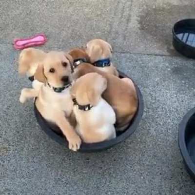 Room for one more?
