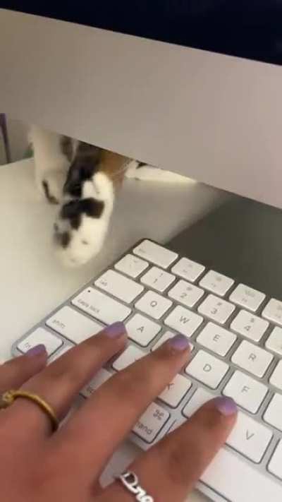 When your coworker wants attention