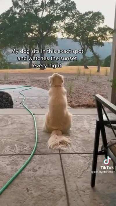 Watching the sunset