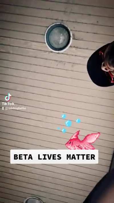 All Fish Matter. ?