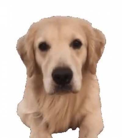 This isnt a meme. Have a great Day!
