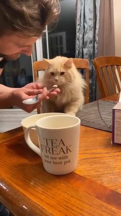Maybe maybe maybe